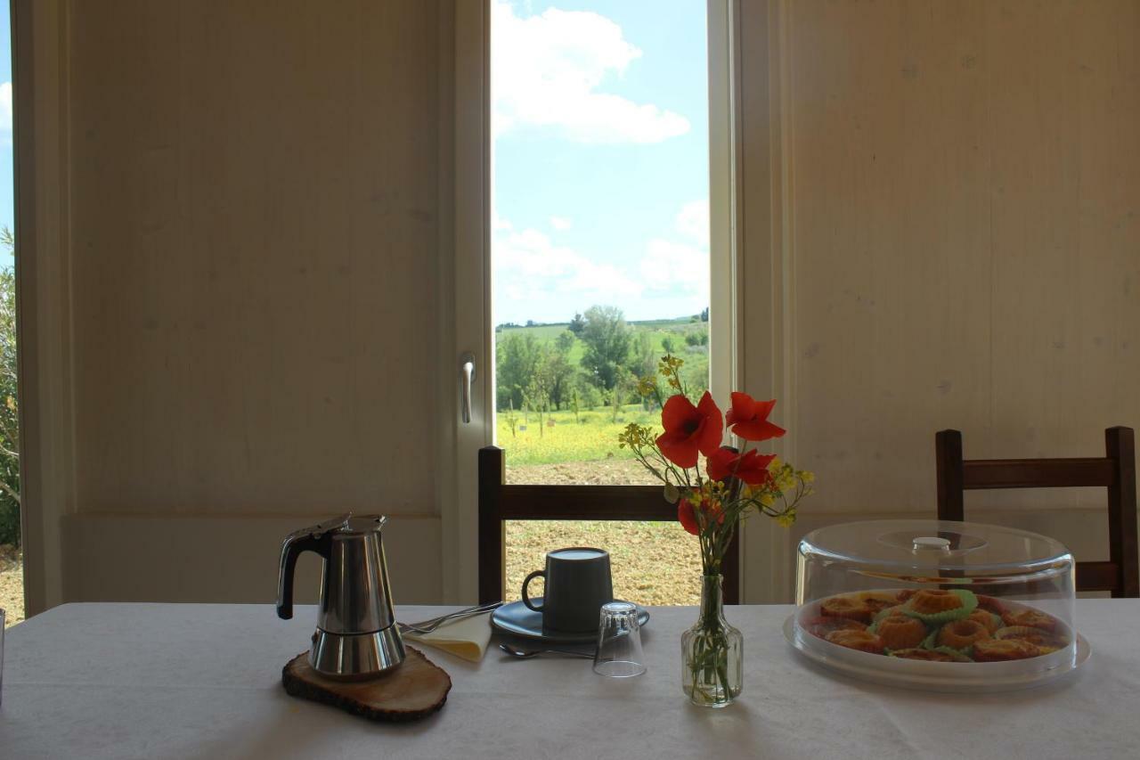 Agriturismo Qui E Ora 贝瓦尼亚 外观 照片